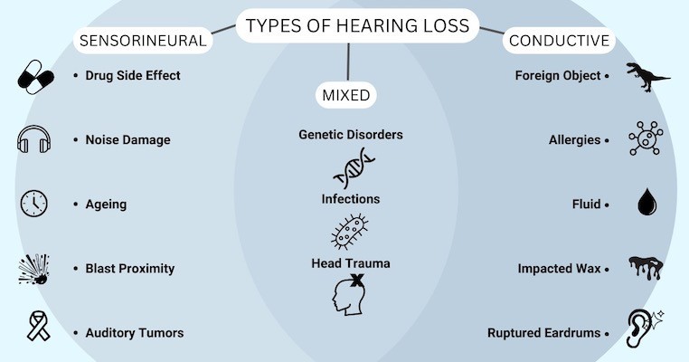 hearing loss types infographic